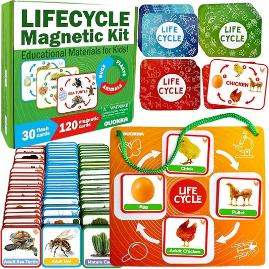 Life Cycle Toys for Kids — Magnetic Flash Cards Science Kits for Kids 3-5 | Montessori Kit with 30 Toddler Science Activities — 120 Magnetic Animal Learning Materials for Preschool Classroom