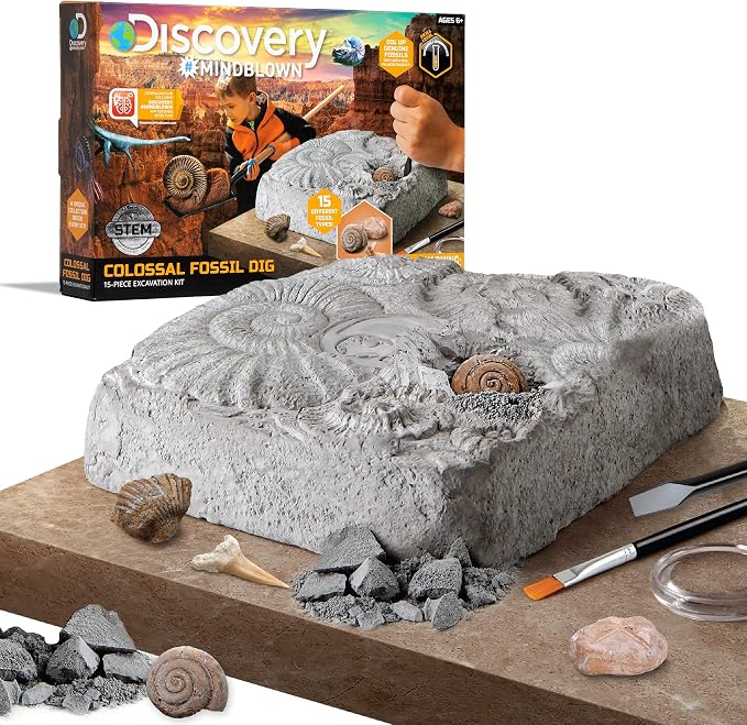Discovery Colossal Fossil Dig Set, 15-Piece Archeology Excavation Kit, Uncover Real Shark Teeth and More, STEM Toys for Boys and Girls