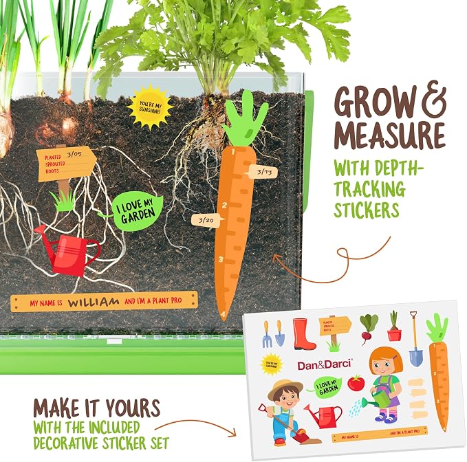 Root Viewer Kit for Kids - Grow Your Own Plant for Boys & Girls Gifts | Birthday Gifts for Boy, Girl 4, 5, 6, 7, 8, Year Old - Science STEM Toy & Craft Growing Kits for Ages 4-8, 6-8 Years