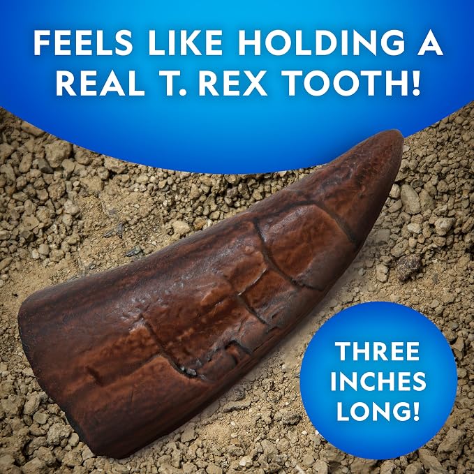 National Geographic Dinosaur Fossil Dig Kit with Dino Book for Kids 8-12 | Replica Dinosaur Tooth Fossil, Full-Color Dino Book, Excavation Tools, Paleontology Learning, STEM Activity