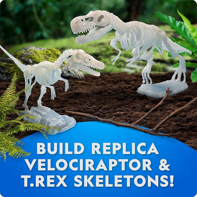 National Geographic Glow-in-the-Dark Dinosaur Skeleton Model Building Kit | Build T. Rex and Velociraptor Skeletons, Glow-in-the-Dark Bones, Dinosaur Toy Egg Activity, Fossil Learning, Birthday Gift