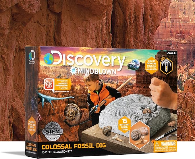 Discovery Colossal Fossil Dig Set, 15-Piece Archeology Excavation Kit, Uncover Real Shark Teeth and More, STEM Toys for Boys and Girls