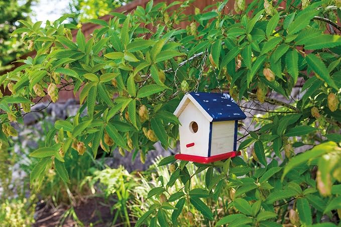 Beetle & Bee Bird House Kit for Kids, Build A Wooden DIY Outdoor Craft Set | Birdhouse Kits For Kids To Build, Paint Your Own Wooden Bird House Craft With 4 Colors, Brush, Glue, 7 Pieces, Chain, Ages 5+