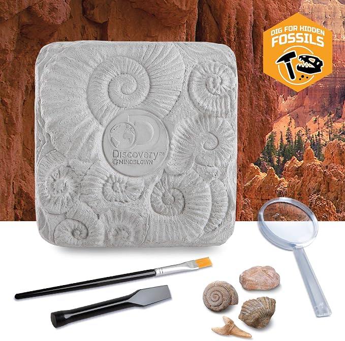 Discovery Colossal Fossil Dig Set, 15-Piece Archeology Excavation Kit, Uncover Real Shark Teeth and More, STEM Toys for Boys and Girls