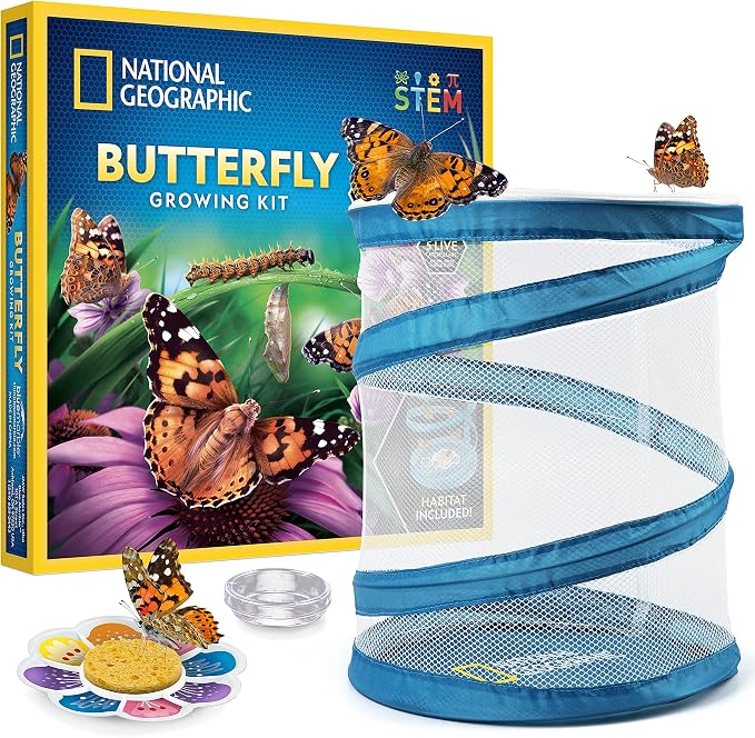 National Geographic Butterfly Growing Kit for Kids Nature Activity | Mesh Habitat, Voucher for 5 Live Caterpillars, Feeder Dish and Sponge, Metamorphosis Science, Outdoor Learning