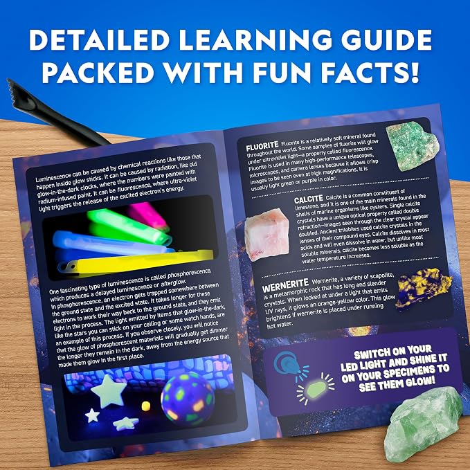 National Geographic Glow-in-the-Dark Rock and Dinosaur Dig Kit for Kids | 6 Glow-in-the-Dark Rocks and Dinosaurs, Glowing Dig Brick, Excavation Tools, Rock Collection, STEM Activity, Birthday Gift