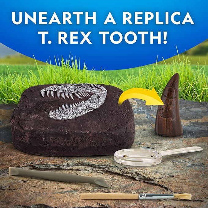 National Geographic Dinosaur Fossil Dig Kit with Dino Book for Kids 8-12 | Replica Dinosaur Tooth Fossil, Full-Color Dino Book, Excavation Tools, Paleontology Learning, STEM Activity