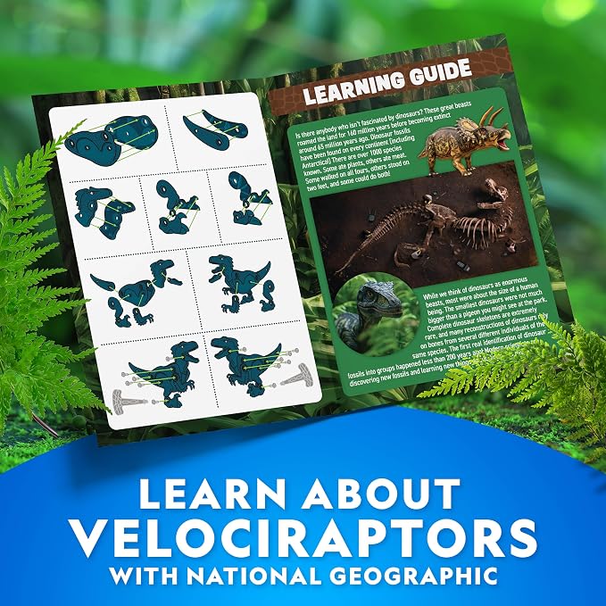 National Geographic Buildable Velociraptor Dinosaur Toy for Kids | Take-Apart Velociraptor, Construction Building Toy, STEM Learning, Fine Motor Skills, Dinosaur Play, Ages 4-8
