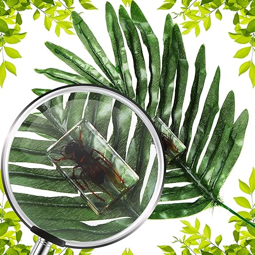 12 Pcs Insect Specimens for Kids Bug Collection Kit Real Specimens of Various Butterflies Beetles, Kids Biology Science Educational Toy, Back to School Gift for Classroom Teacher Student(Insect)