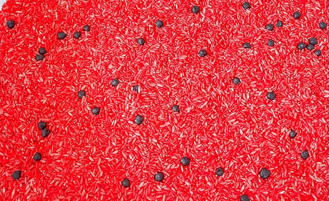 Kids Sensory Bins Montessori Sensory bin, Sensory Toys, Sensory Bins, Sensory Bin for Preschoolers (Ladybug)