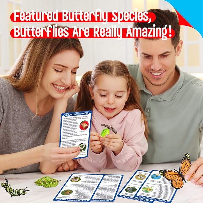 15 Butterfly Life Circle Flashcards with 4 Plastic Figurines, Butterflies Introduction Cards Plastic Insects Egg to Butterfly Kit Toy for Kids, Adults, Animal Lovers