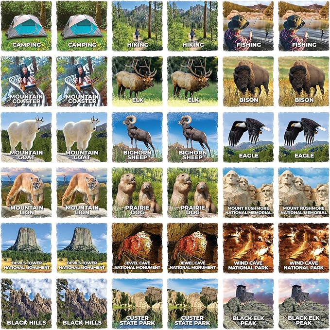 Masterpieces Jr Ranger - Black Hills Matching Game