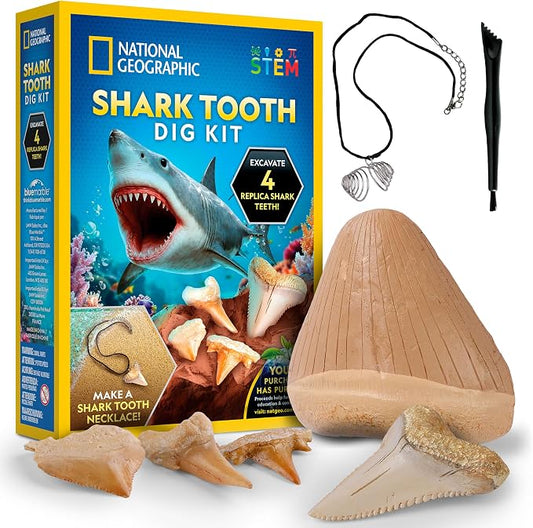 National Geographic Shark Tooth Fossil Dig Kit and Necklace for Kids | Replica Shark Teeth & Fossils, Make a Shark Tooth Necklace, Excavation Tools, Paleontology Activity, STEM Learning