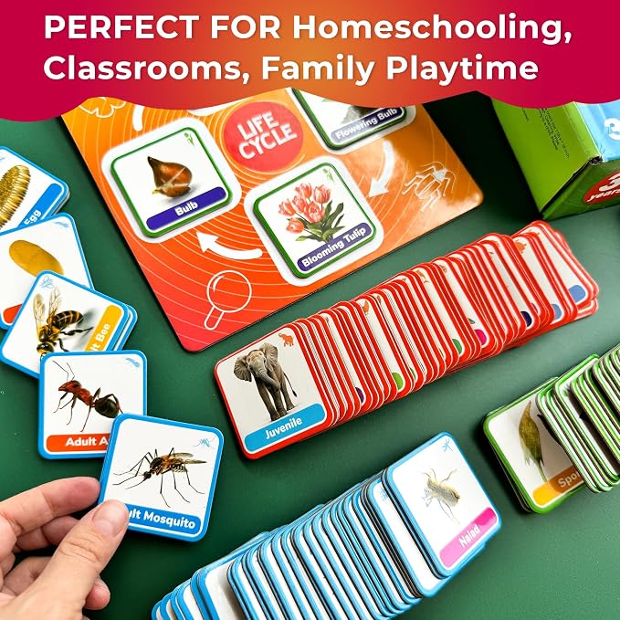 Life Cycle Toys for Kids — Magnetic Flash Cards Science Kits for Kids 3-5 | Montessori Kit with 30 Toddler Science Activities — 120 Magnetic Animal Learning Materials for Preschool Classroom