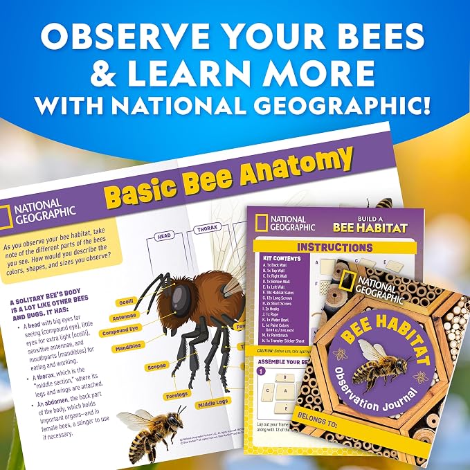 National Geographic Build a Bee Habitat Nature Craft Kit for Kids | Build and Paint a Mason Bee House, Outdoor Nature Craft, Pollinator Learning, Solitary Bee Hotel, Birthday Gift