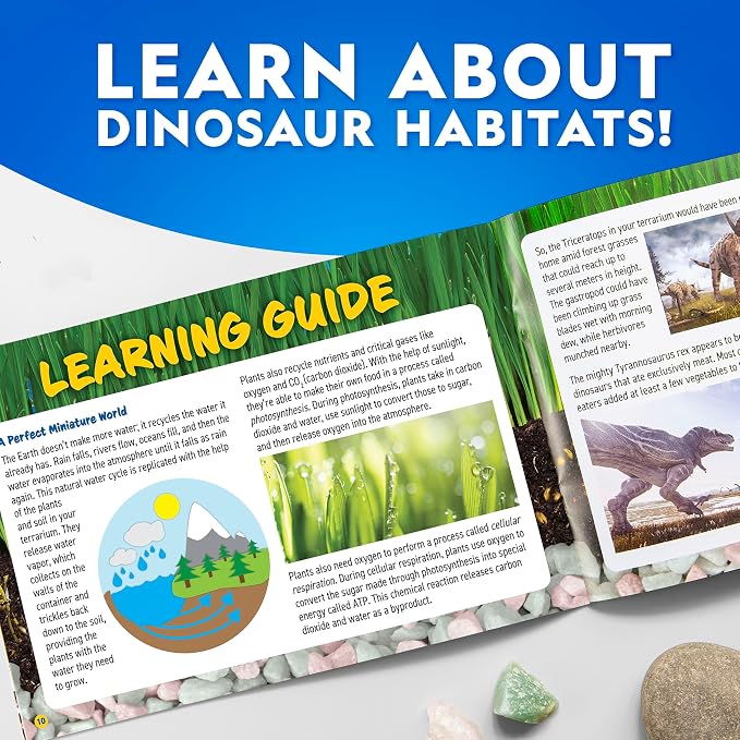 National Geographic Light-Up Dinosaur Terrarium Science Kit for Kids | Multicolor Light, Play Sand, Real Gemstones and Dino Figures, Prehistoric Habitat, DIY Science Activity, Birthday Gift
