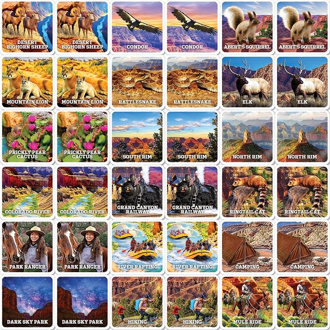 MasterPieces Officially Licensed National Parks Jr. Ranger Picture Matching Card Game for Kids and Families