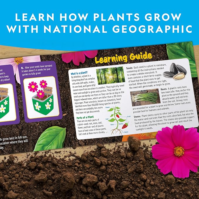 National Geographic Flower and Herb Gardening Activity Kit for Kids | 3 Stainless Steel Pots, Paint and Stickers, Flower and Herb Seeds, Plant Growing, Outdoor Learning, Craft Activity